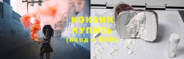 индика Куйбышев