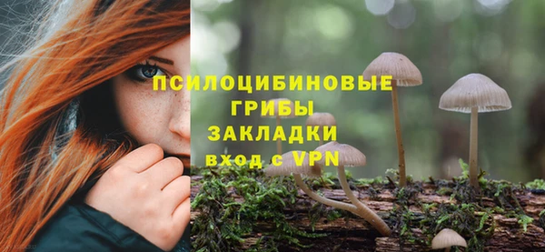 тгк Красноперекопск