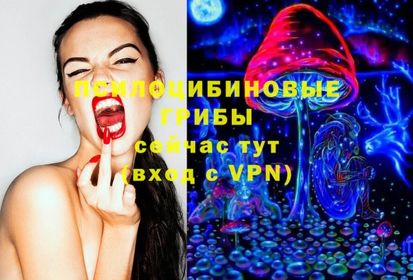 ГАЛЛЮЦИНОГЕННЫЕ ГРИБЫ Краснотурьинск