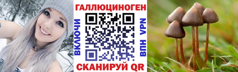Купить где  Омутнинск  Псилоцибиновые грибы мицелий 